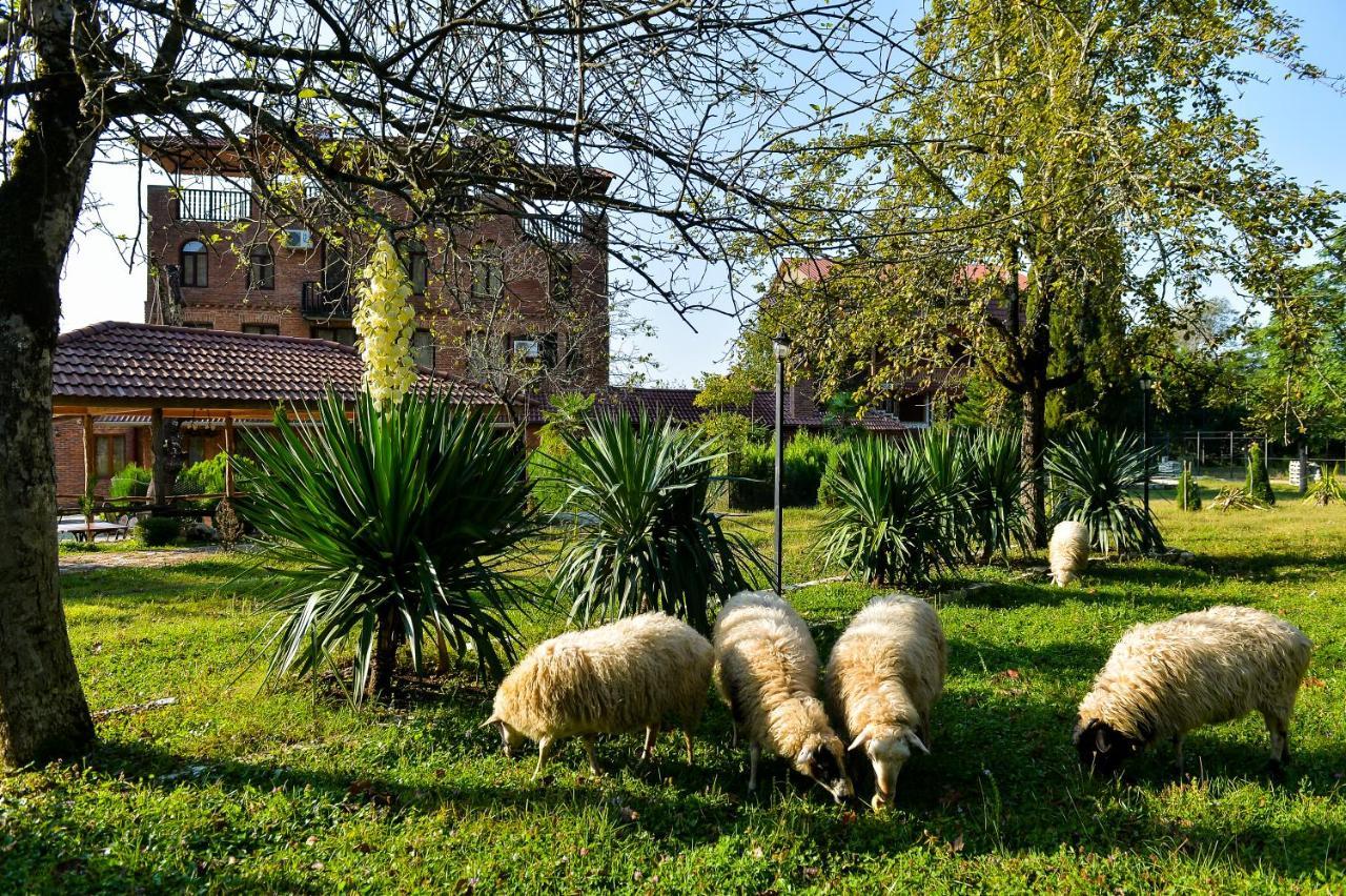 Hotel Chateau Chikovani Gordi Zewnętrze zdjęcie