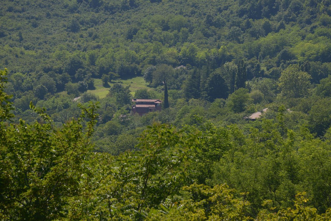 Hotel Chateau Chikovani Gordi Zewnętrze zdjęcie